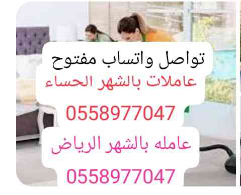 شغالات بالشهر بالحساء 